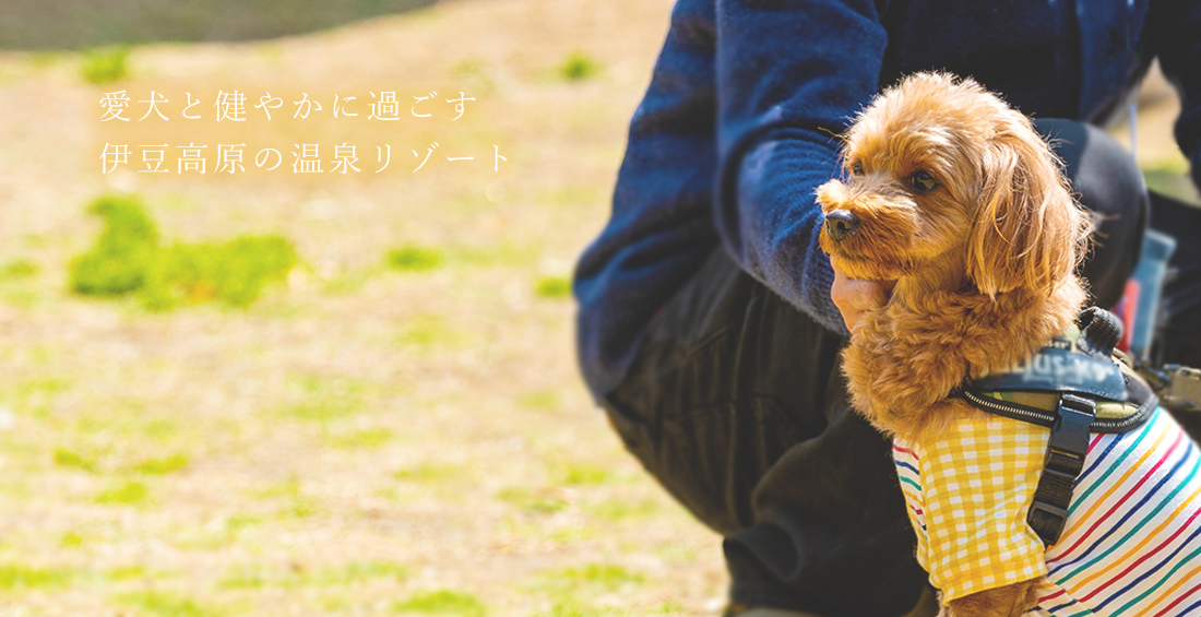 愛犬お宿 伊豆高原の愛犬と過ごす温泉リゾート