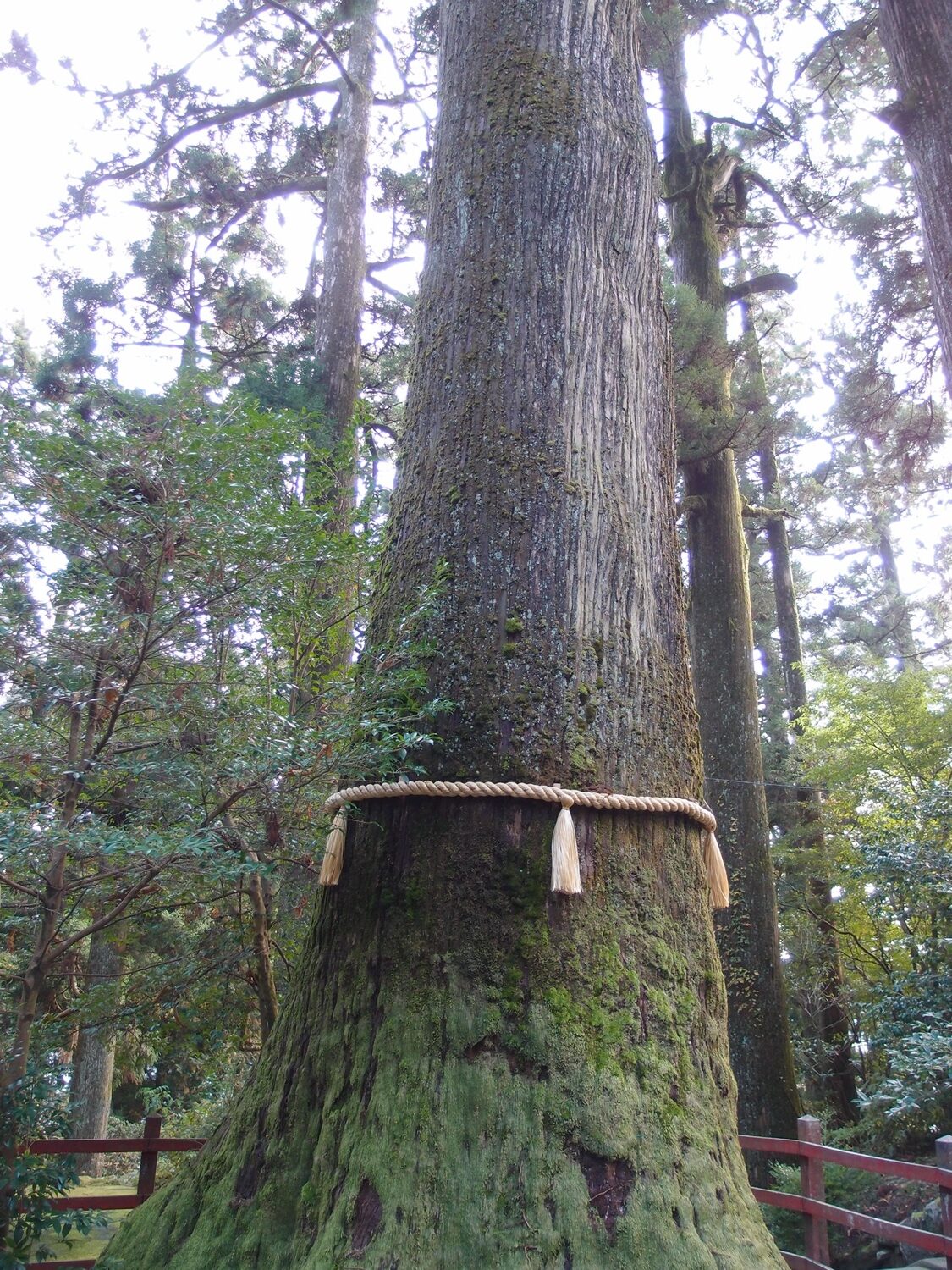 箱根神社