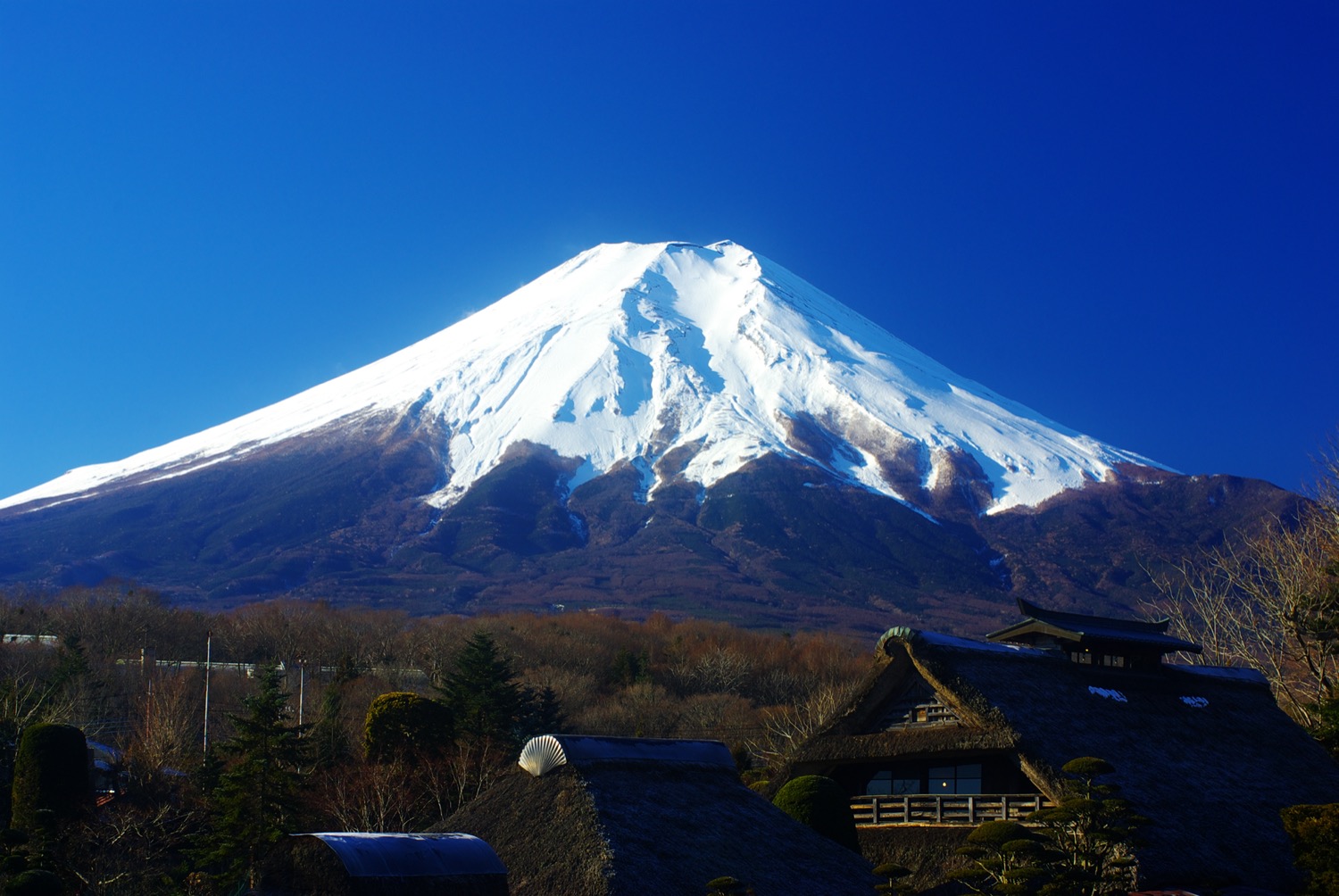 忍野八海と富士山