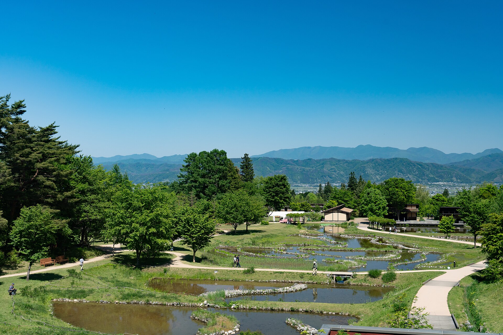 国営アルプスあづみの公園の花畑
